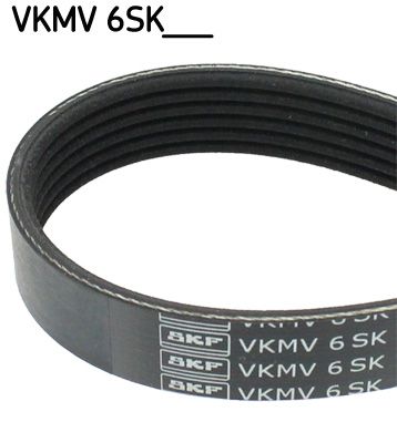SKFVKMV 6SK1090